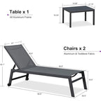 PURPLE LEAF Ensemble de 2 chaises longues de jardin, transats d'extérieur avec cadre en aluminium