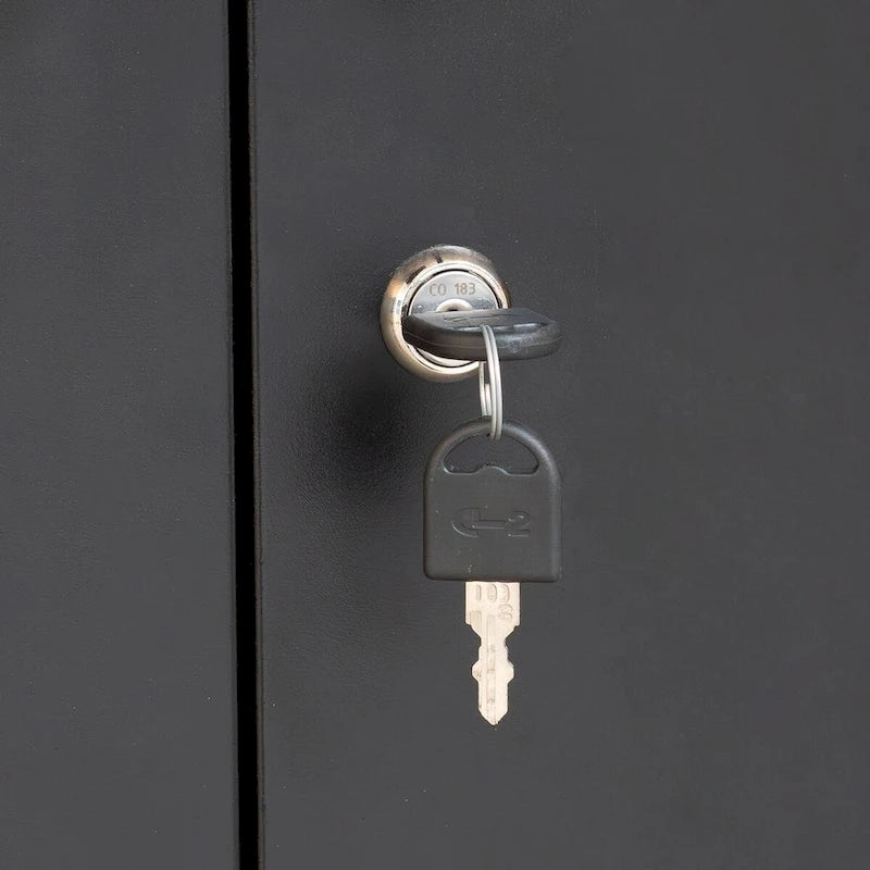 Armoire de rangement métallique avec 2 portes et 2 étagères réglables, armoire de rangement de garage verrouillable en acier, armoire de classement en métal