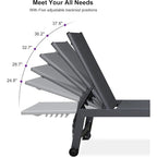 PURPLE LEAF Ensemble de 2 chaises longues de jardin, transats d'extérieur avec cadre en aluminium